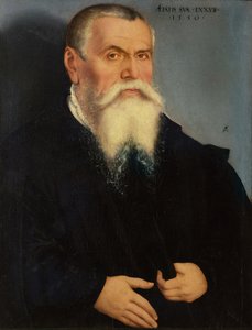 Portrait of Lucas Cranach the Elder (1472-1553) 1550 (oil)